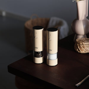 Stainless Steel Regular | Salt and pepper set